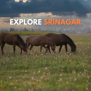 Srinagar