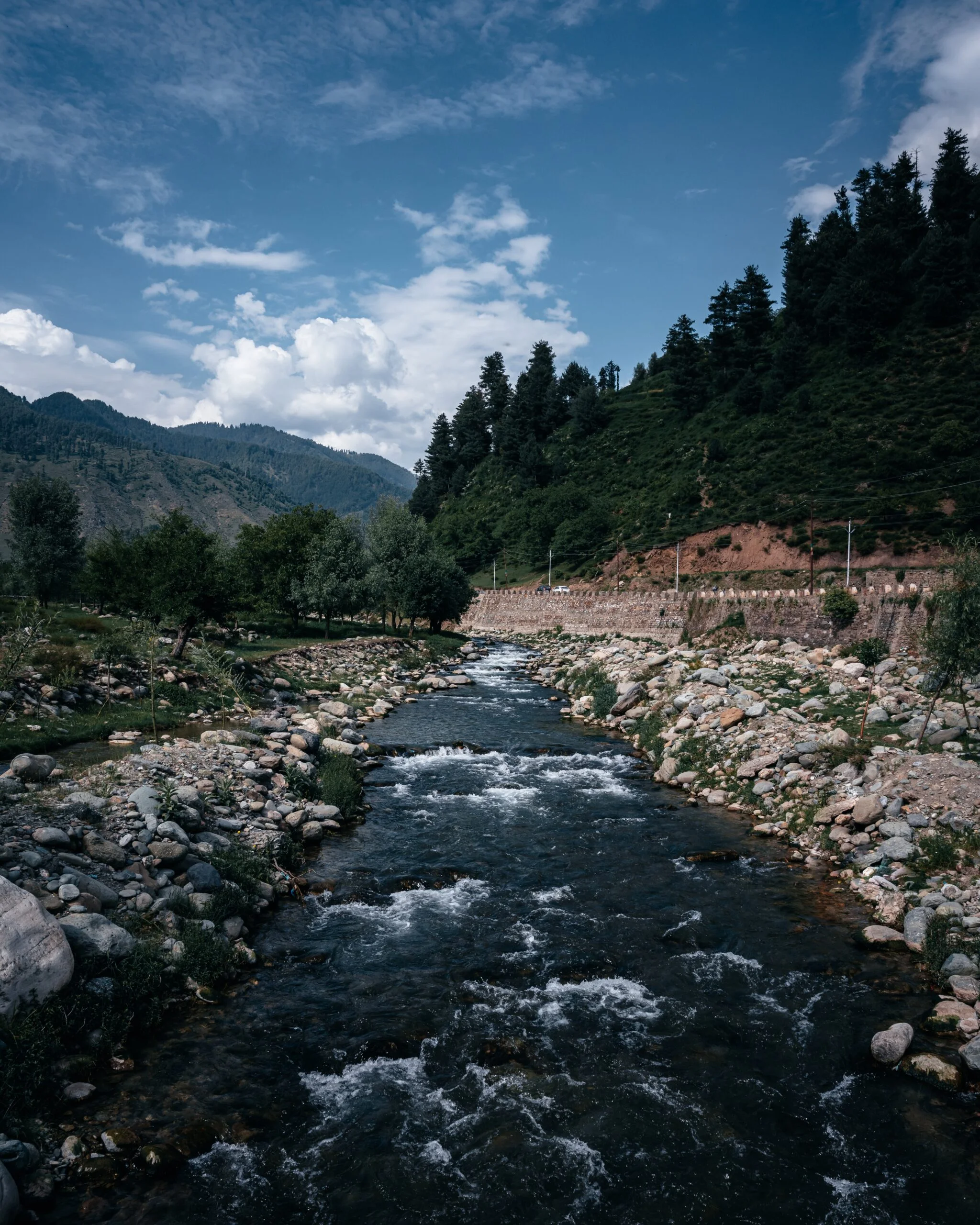sanju-pandita-3wmz5nS1q0w-unsplash – Copy
