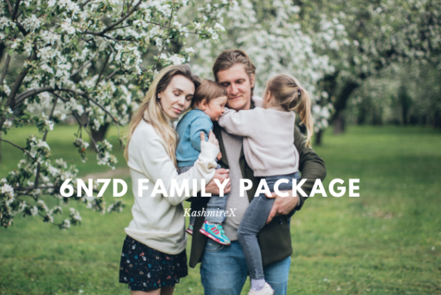 6N7D Family Package