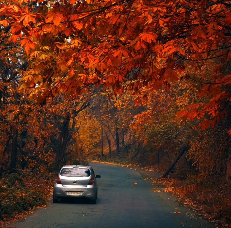 cab service in kashmir