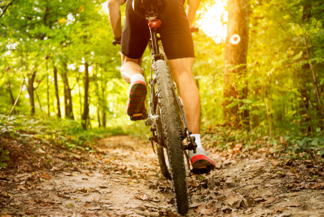 Mountain Biking