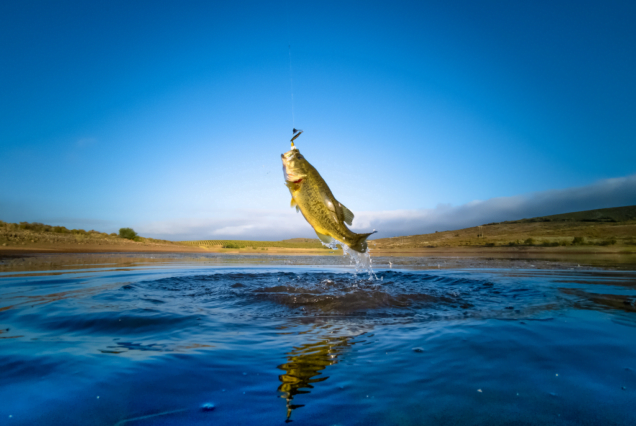 Fishing