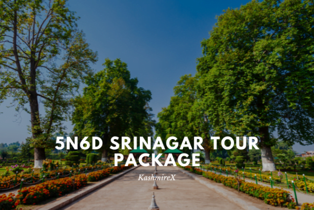 Sightseeing Tour Srinagar