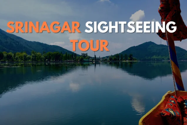Srinagar Sightseeing Tour