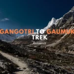 Gangotri To Gaumukh Trek
