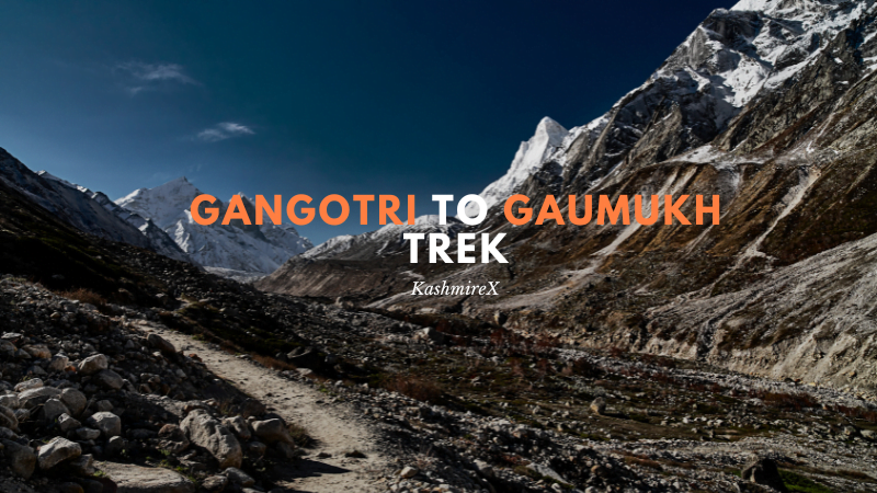 Gangotri To Gaumukh Trek