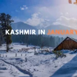Kashmir in January