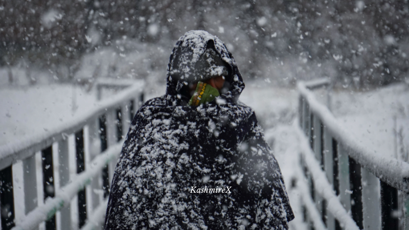Kashmir in January
