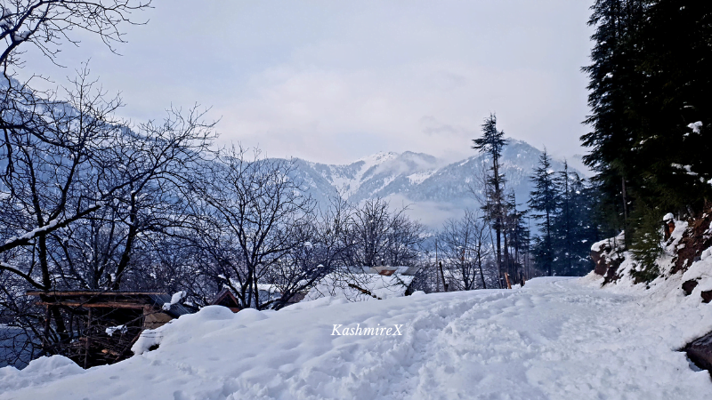 Kashmir in January