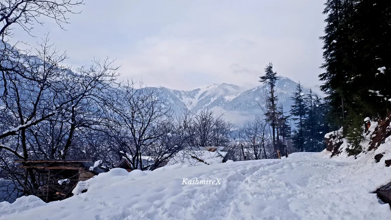 Kashmir in January