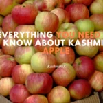 Everything You Need To Know about Kashmir Apple