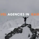 Travel Agencies in Srinagar Kashmir