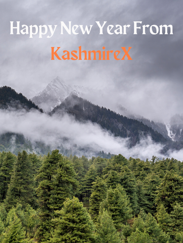 Happy New Year From KashmireX