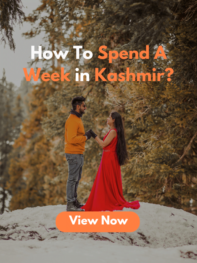 How to spend a week in kashmir?