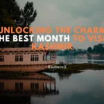 Unlocking the Charm The Best Month to Visit KashmiR