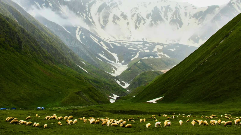 ARU VALLEY PAHALGAM
