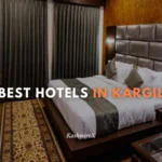 cheapest hotel near dal lake