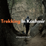 Trekking In Kashmir