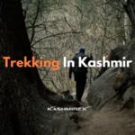 Trekking In Kashmir