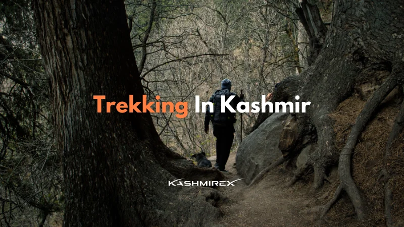 Trekking In Kashmir