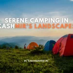 Serene camping in Kashmir's landscapes
