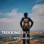 Trekking in Ladakh
