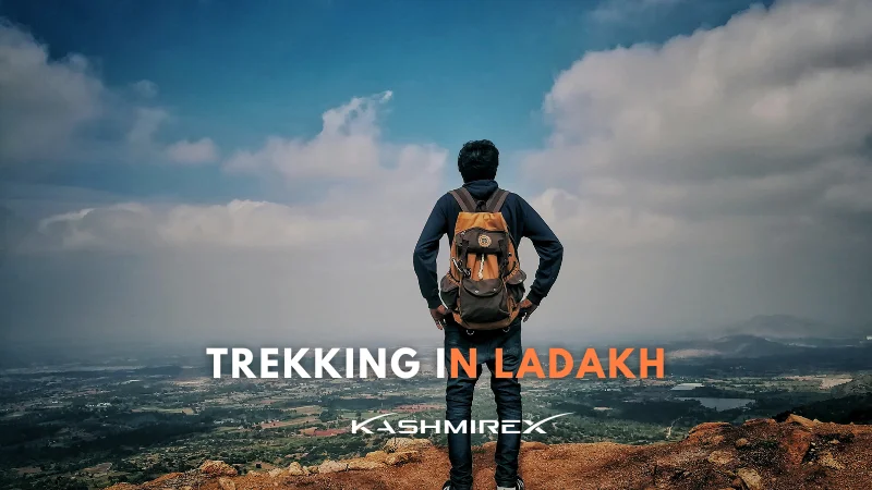 Trekking in Ladakh