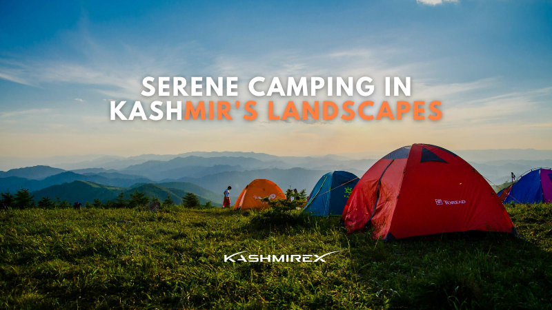 Serene camping in Kashmir's landscapes