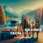 How To Go Kashmir From Delhi