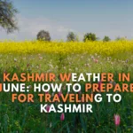 Kashmir Weather in June: How to Prepare for Traveling to Kashmir